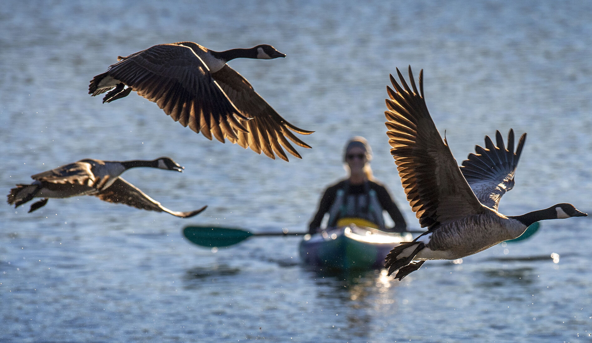 Top Journal Star photos for December